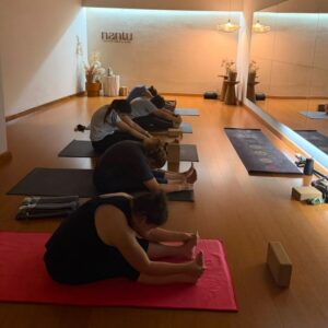 12 clases flexible- Surco